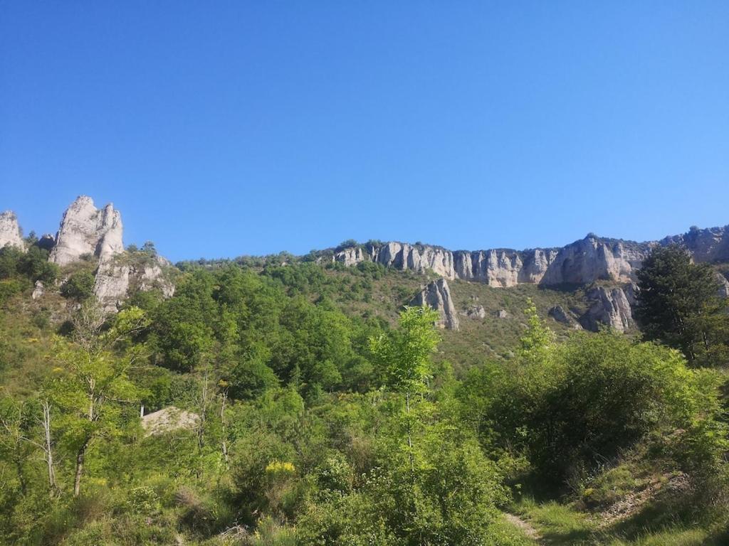 Chateau D'Eau Logement Insolite Tournemire  Zewnętrze zdjęcie